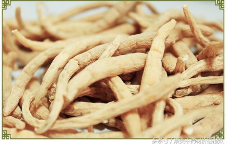 貴州太子參最新價(jià)格動(dòng)態(tài)解析及趨勢(shì)分析