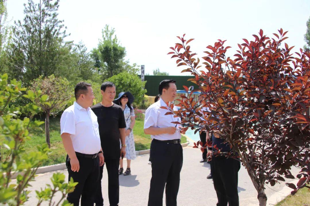 太谷未來最新規(guī)劃，塑造新時代的繁榮都市展望