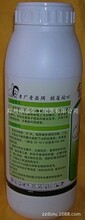 最新軟腐病特效藥的研究進展與應用成果