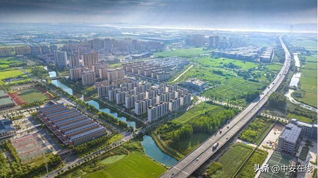 鄭蒲港新區(qū)最新消息全面解讀與分析